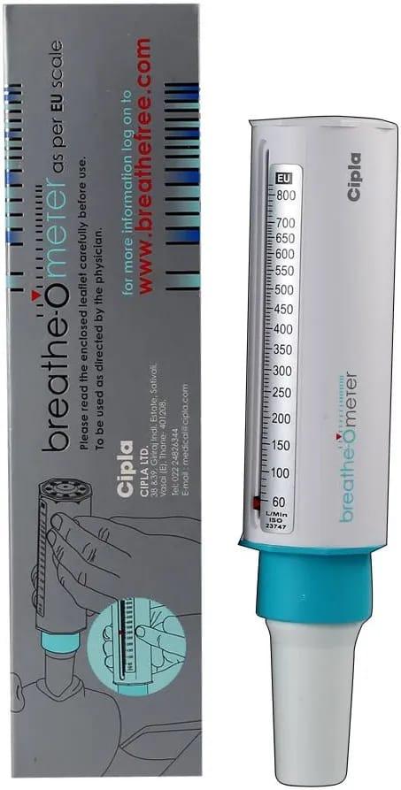 Peak flow meter